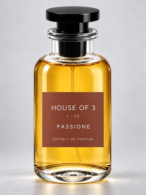 HOUSE OF 3 I · 02 PASSIONE – Studioaufnahme