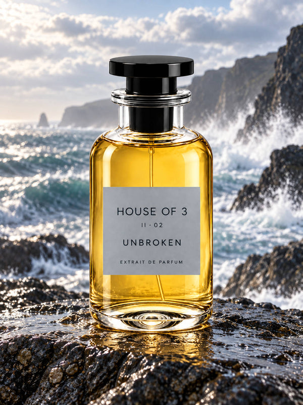 HOUSE OF 3 II · 02 UNBROKEN – Raue Felsküste