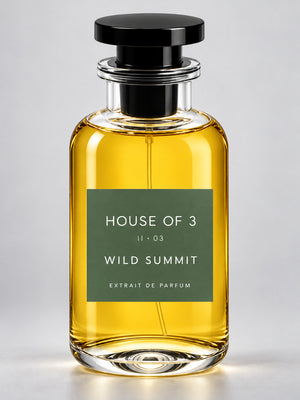 HOUSE OF 3 II · 03 WILD SUMMIT – Studioaufnahme