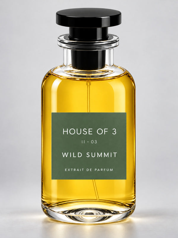 HOUSE OF 3 II · 03 WILD SUMMIT – Studioaufnahme