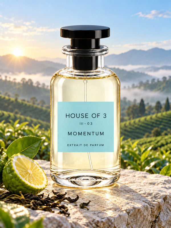 HOUSE OF 3 III · 03 MOMENTUM – Duftlandschaft mit Teehügeln und Bergamotte