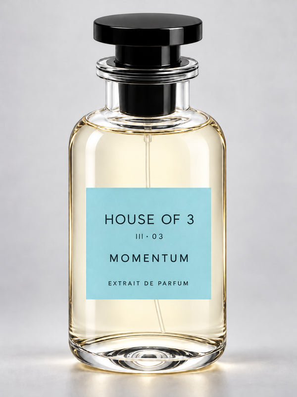 HOUSE OF 3 III · 03 MOMENTUM – Studioaufnahme